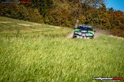 50.-nibelungenring-rallye-2017-rallyelive.com-0838.jpg